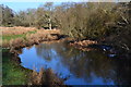 Lymington River at Boldre Bridge