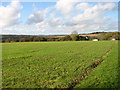 Farmland east of Fawler