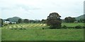 Mown hay field in the Forkhill River valley