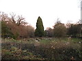 Cemetery on Westcott Heath