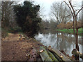 SP2965 : River Avon by Emscote Gardens, Warwick 2014, December 27, 10:36 by Robin Stott