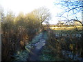 Frosty bridleway west of Awsworth