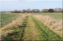 SU4745 : Track & footpath to Whitchurch by ad acta