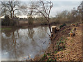 SP2965 : Banks of River Avon by Emscote Gardens, Warwick 2014, December 27, 10:38 by Robin Stott