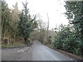 TQ1545 : Coldharbour Lane in Abinger Forest by David Howard