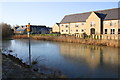 Frozen pond beside Madley Brook