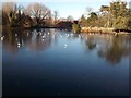 J3675 : Victoria Park Belfast lake frozen by John Thompson