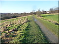 Path running west from Rothwell