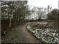 Westport Lake: path in the Conservation Area