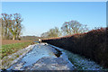 An icy splash near Taverners Green