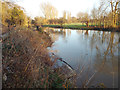 SP2965 : River Avon by Emscote Gardens, Warwick 2014, Deceember 28, 14:58 by Robin Stott