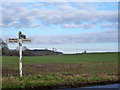 Field west of Gallows Green