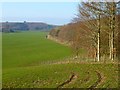 Farmland, Hesket