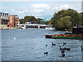 SU9677 : River Thames at Windsor by Malc McDonald