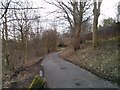 Leeds Park at Midday