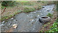 Rubbish in the Rudhall Brook