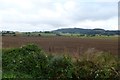 Farmland next to the A19