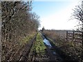 SJ7661 : Farm track off Congleton Road by Stephen Craven