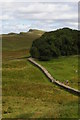 NY7968 : Hadrian's Wall dropping to the Knag Burn, east of Housesteads by Christopher Hilton