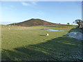 Waterlogged fields near Pen-y-coed