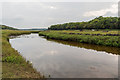 M4305 : Coole River by Ian Capper