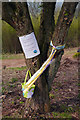 SO9380 : Easter egg trail in the Clent Hills, Easter 2014 by Phil Champion