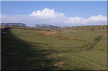 SD4864 : Grazing land near Howgill Brook by Ian Taylor
