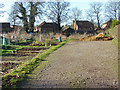 Allotments, Winkfield Row