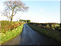 Shadows along Glenhordial Road