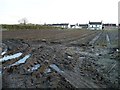 Rhubarb field, north of Leadwell Lane [A654]