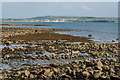 R0688 : Foreshore, Liscannor by Ian Capper