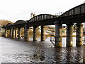 Scotswood Railway Bridge