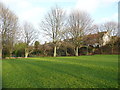 Trees in winter, Bramston Street Recreation Ground