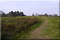 Bridleway towards the summit of Walton Hill