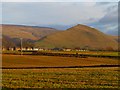 Farmland, Milburn