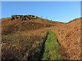 Track from Trebanog near Mynydd Dinas