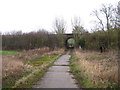 TM0363 : Railway bridge near Haugh Farm by Chris Holifield