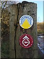 Apedale Country Park: waymarker north of Apedale Road