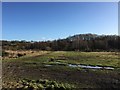 Waste ground between Chesterton and Apedale