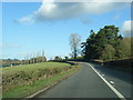 Usk Road near Colomendy Wood