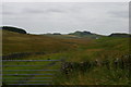 NY7467 : Looking eastwards along the course of Hadrian's Wall, north of Steel Rigg by Christopher Hilton