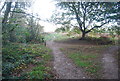 Sandling Walk, Bixley Heath