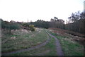 Sandlings Walk, Bixley Heath