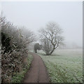 TL4356 : Near Newnham on a January morning by John Sutton