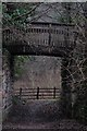 SO5818 : Old railway overbridge at Kerne Bridge by John Winder