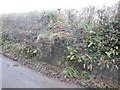 Waun-gwiaill-fawr Farm Milk Stand