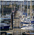 J5081 : Bangor Marina by Rossographer