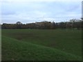 Lyme Valley Park: rugby pitch