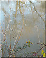 SP2965 : Turbulence, River Avon by Emscote Gardens, Warwick 2014, December 28 by Robin Stott