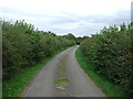 Track to Sookholme Lodge Farm